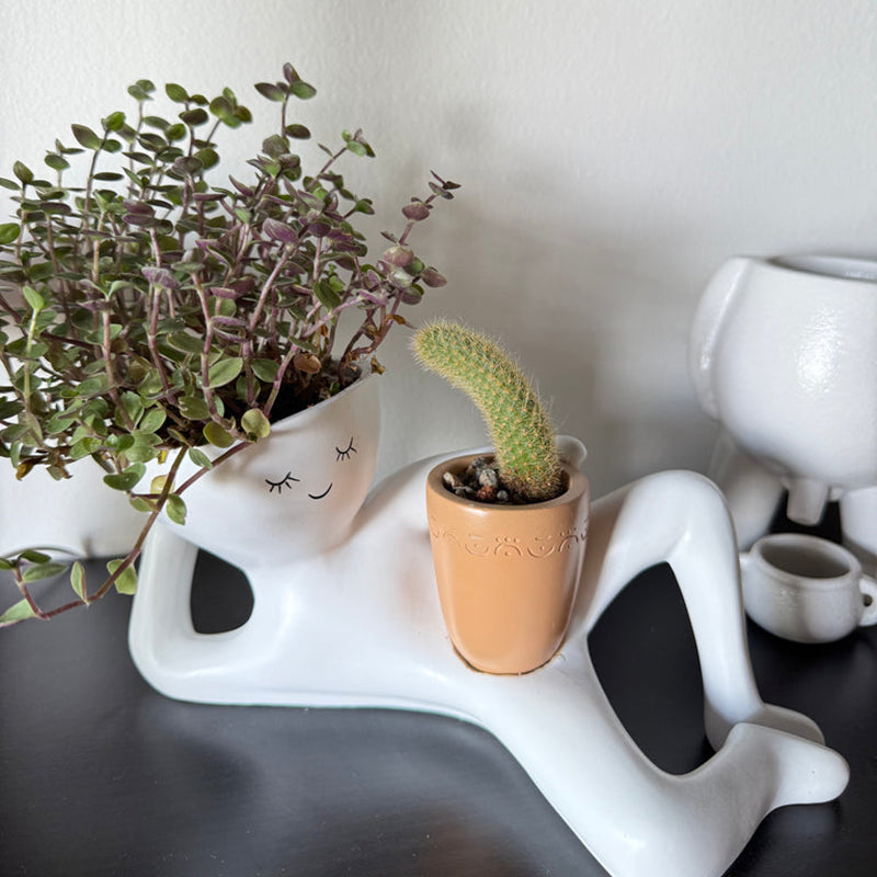 🔥LAST DAY 50% OFF - 😂Low-maintenance figurine planter