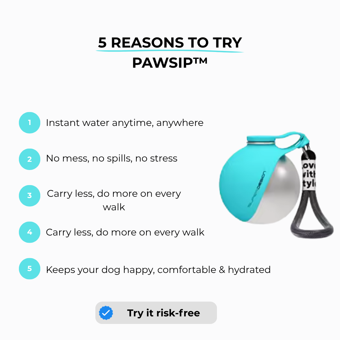 2-in-1 Portable Dog Water Bottle