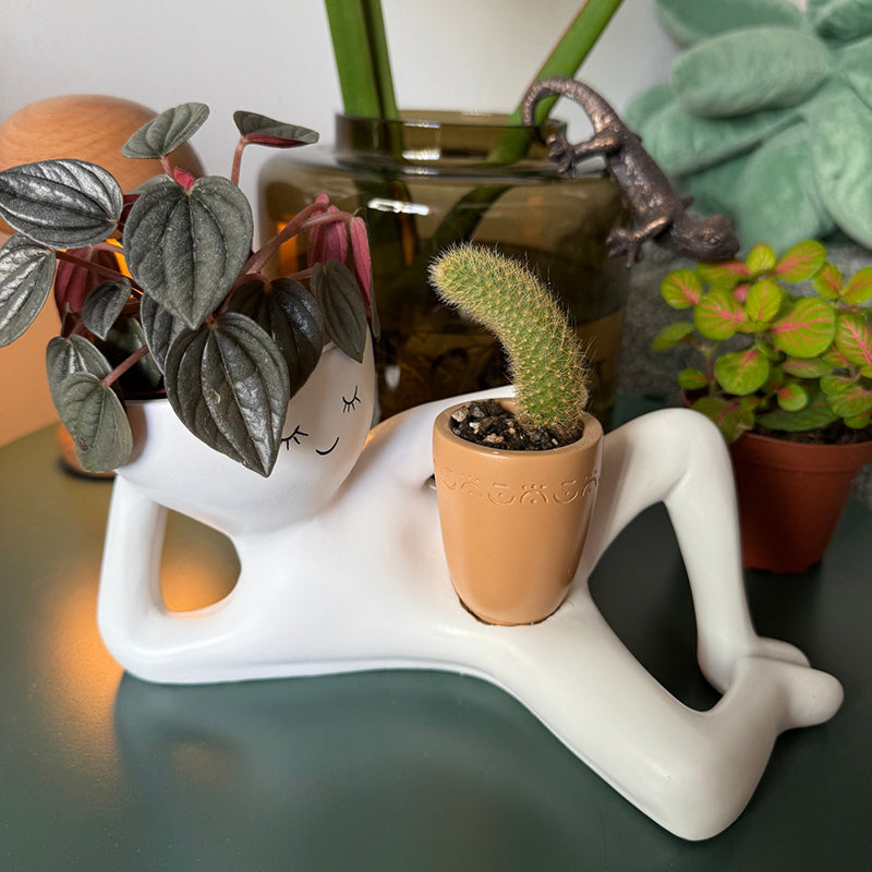 🔥LAST DAY 50% OFF - 😂Low-maintenance figurine planter