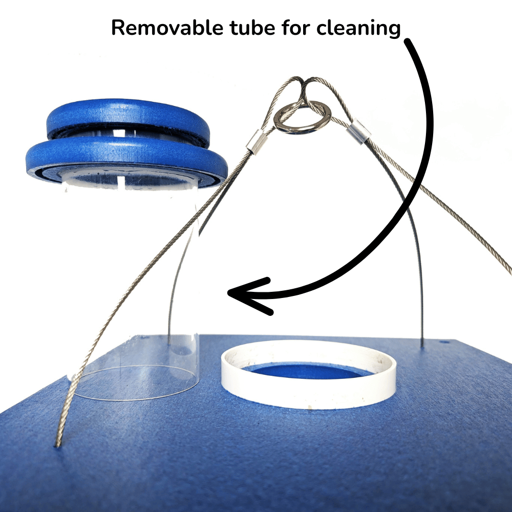 🔥Last Day 49% OFF-Deluxe Bluebird Feeder