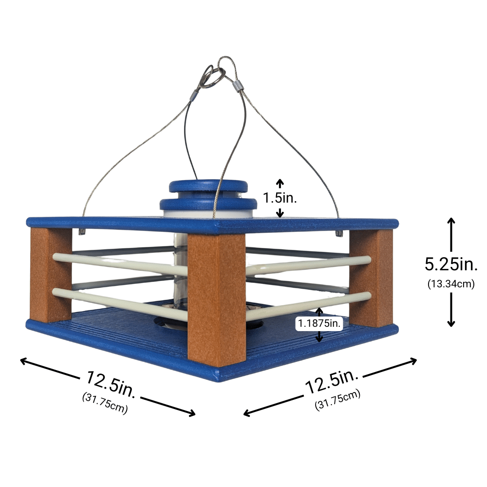 🔥Last Day 49% OFF-Deluxe Bluebird Feeder