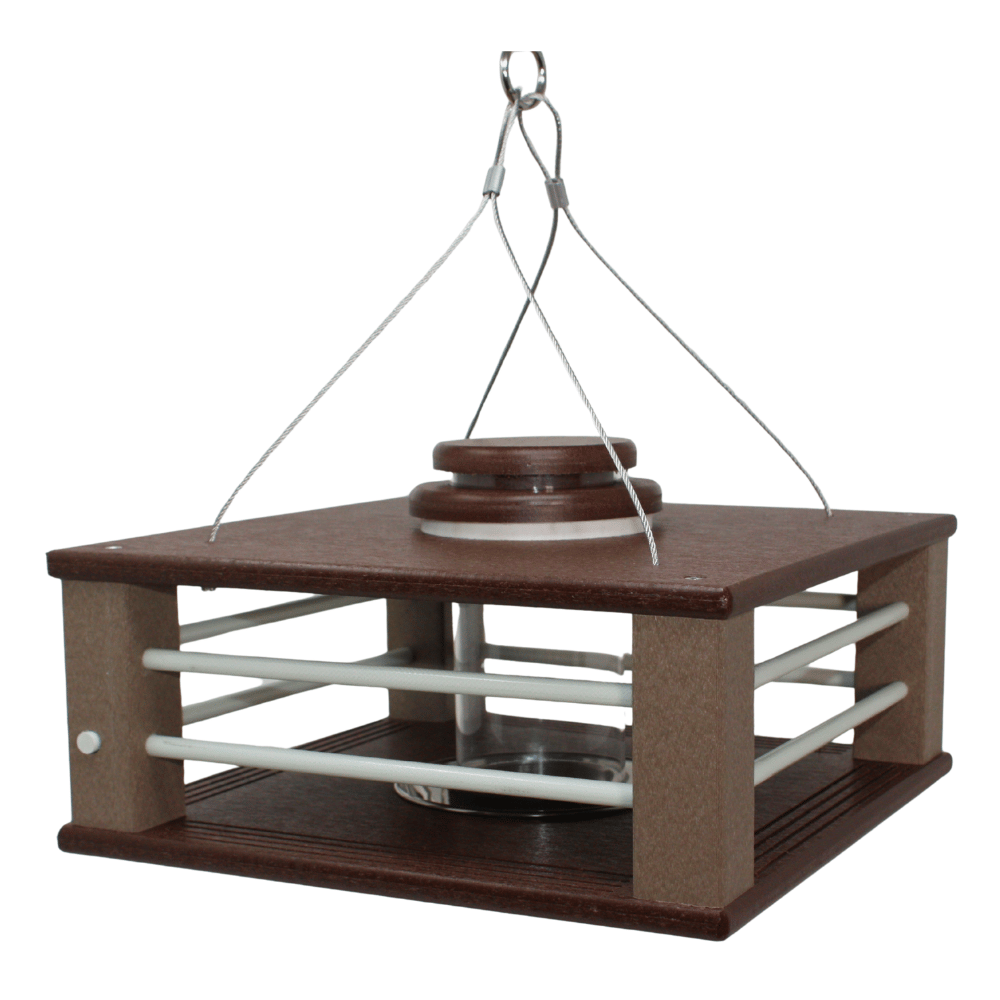 🔥Last Day 49% OFF-Deluxe Bluebird Feeder