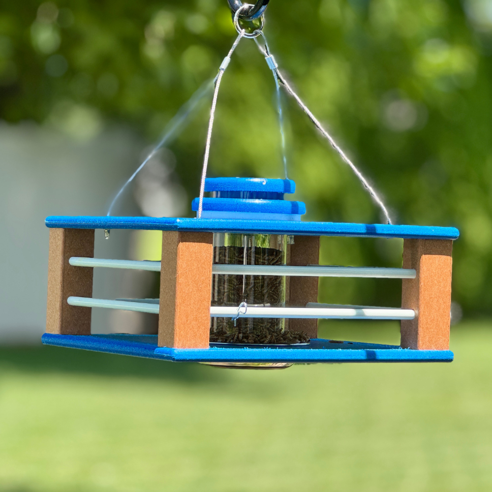 Deluxe Bluebird Feeder in Blue & Bright Cedar #blue/cedar