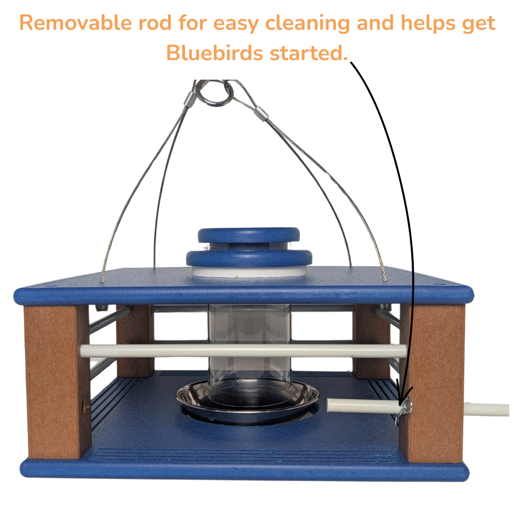 Deluxe Bluebird feeder with blue top and cedar base on a white background
