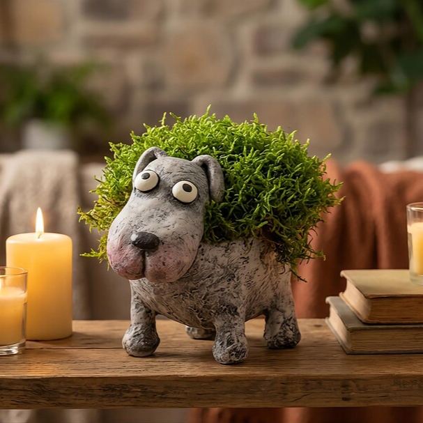 Funny Cute Animal Planter Collection