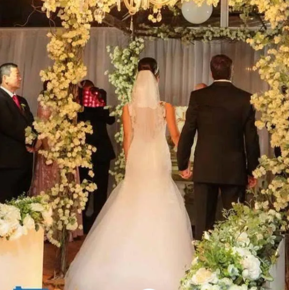 Lace V-Neck Open Back Tulle Vintage Fit and Flare Wedding Dresses