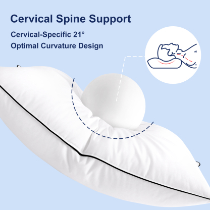 Goose Down Feather Pillows for Bed, Luxury Hotel Pillows with 100% Cotton Shell, Soft Fluffy and Pure Nature, 1 Pack Queen Size 20“x 30“, White