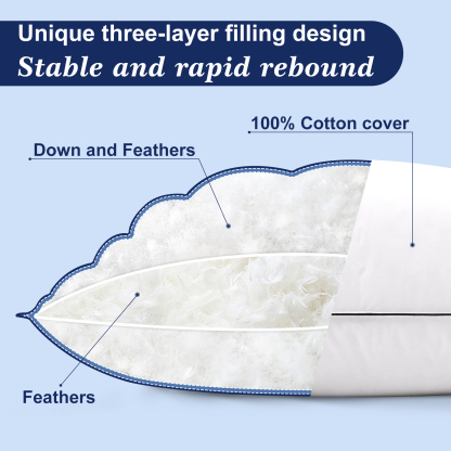 Goose Down Feather Pillows for Bed, Luxury Hotel Pillows with 100% Cotton Shell, Soft Fluffy and Pure Nature, 1 Pack Queen Size 20“x 30“, White