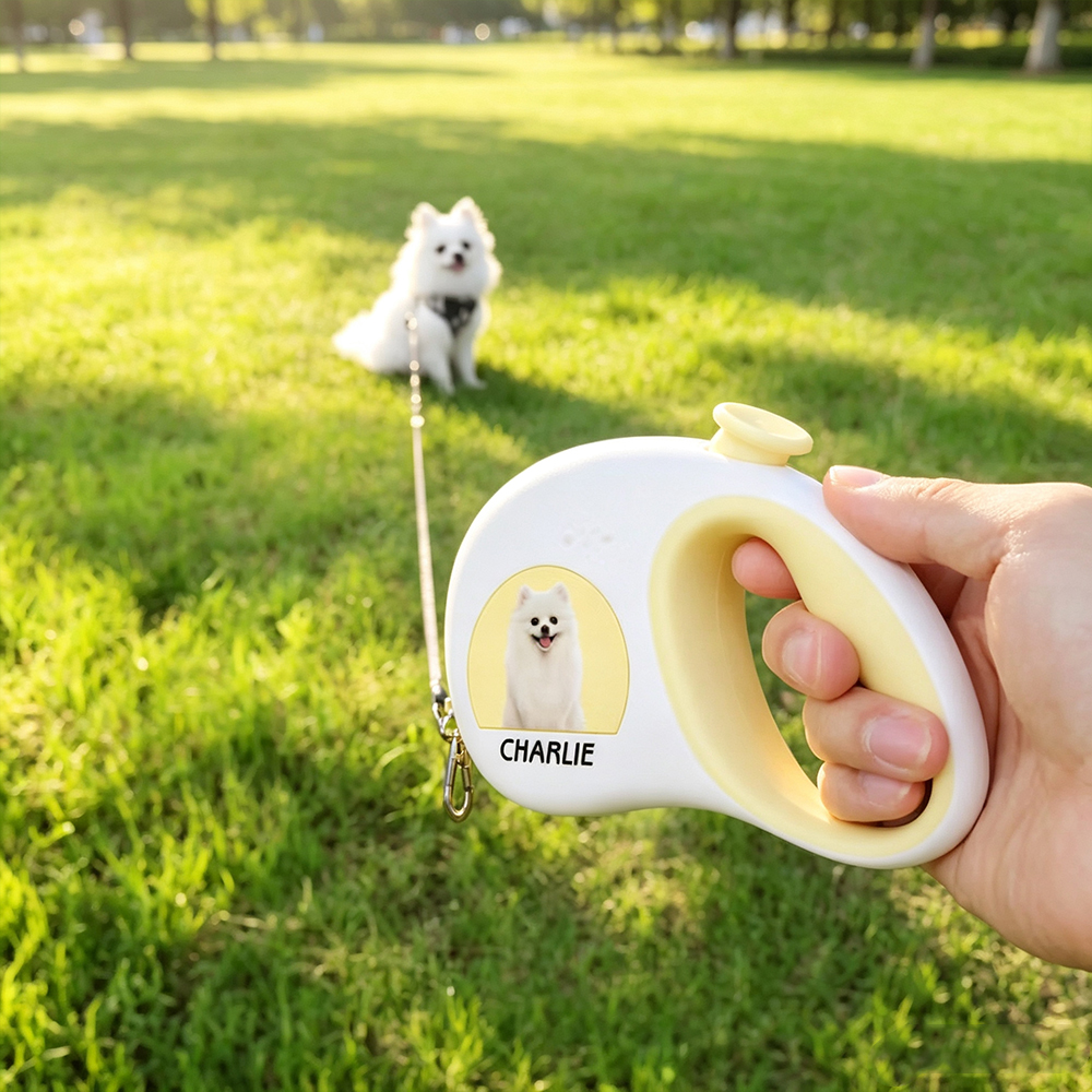 Personalized Reflective Retractable Dog Leash with Custom Photo & Name, LED Safety Pet Lead for Small Medium Dogs, Birthday Gift for Pet Lovers
