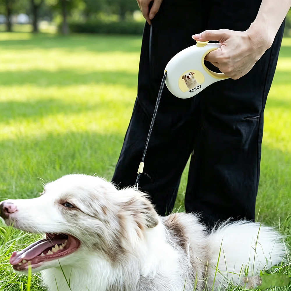 Personalized Reflective Retractable Dog Leash with Custom Photo & Name, LED Safety Pet Lead for Small Medium Dogs, Birthday Gift for Pet Lovers