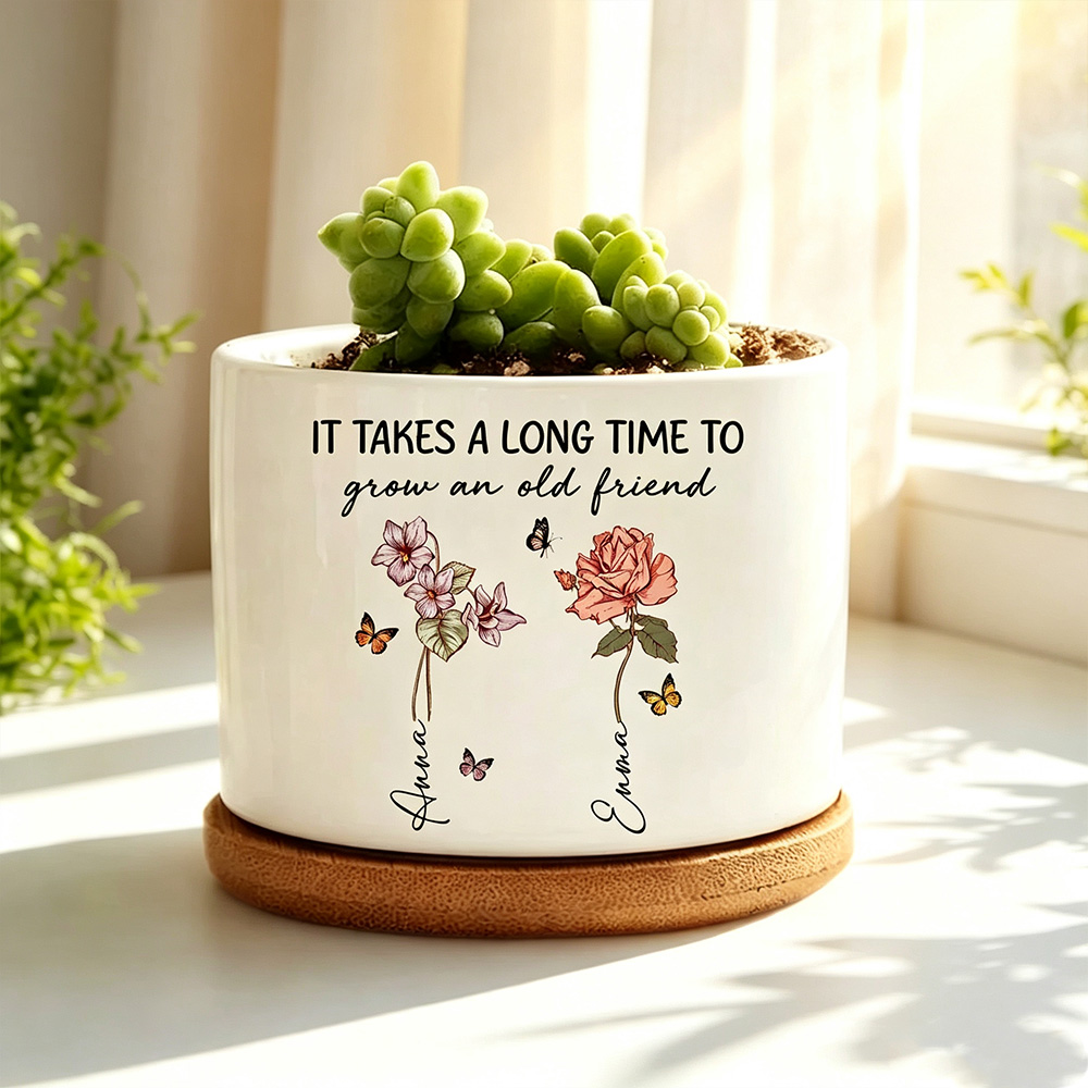 Personalized Friendship Flower Plant Pot with Name, Custom Birth Month Flower Ceramic Planter, Best Friend Gift