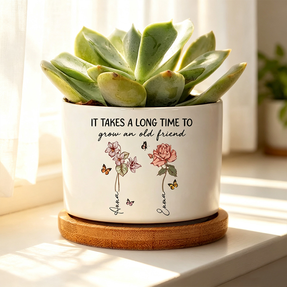 Personalized Friendship Flower Plant Pot with Name, Custom Birth Month Flower Ceramic Planter, Best Friend Gift