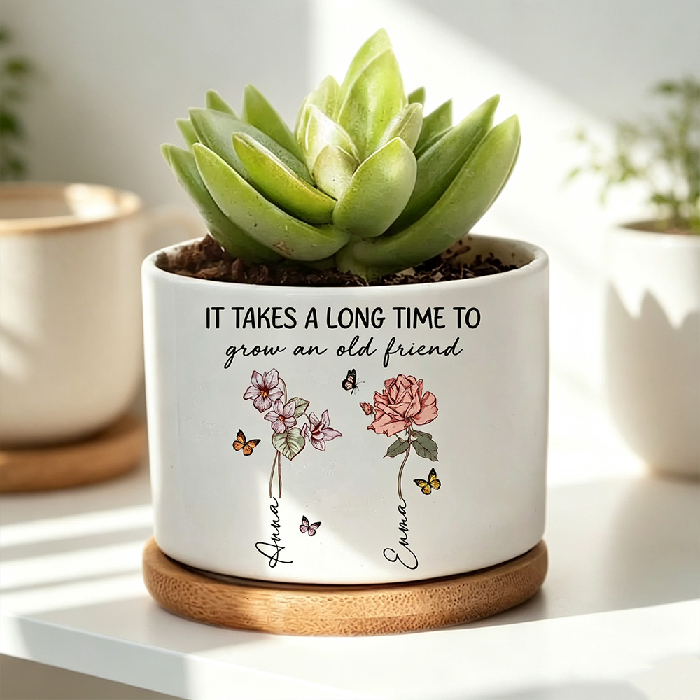 Personalized Friendship Flower Plant Pot with Name, Custom Birth Month Flower Ceramic Planter, Best Friend Gift