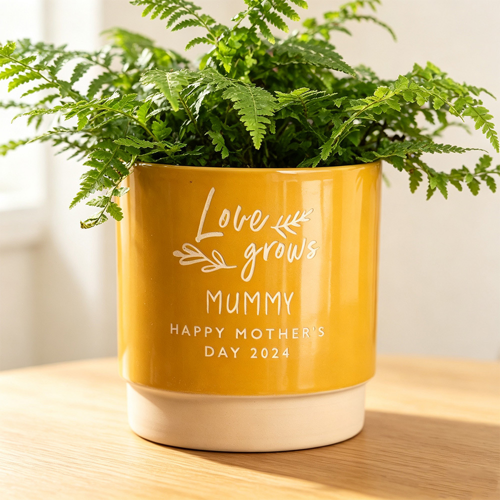 Personalized Wedding Plant Pot, Custom Engraved Couple Flower Pot, Love Grows Terracotta Planter, Anniversary Gift for Newlyweds, Wedding Keepsake