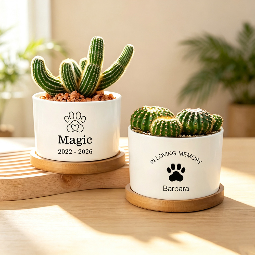 Personalized Pet Memorial Ceramic Planter Pot with Name and Paw Print Design, Succulent Flower Pot with Bamboo Base, Sympathy Gift for Dog Cat Lovers