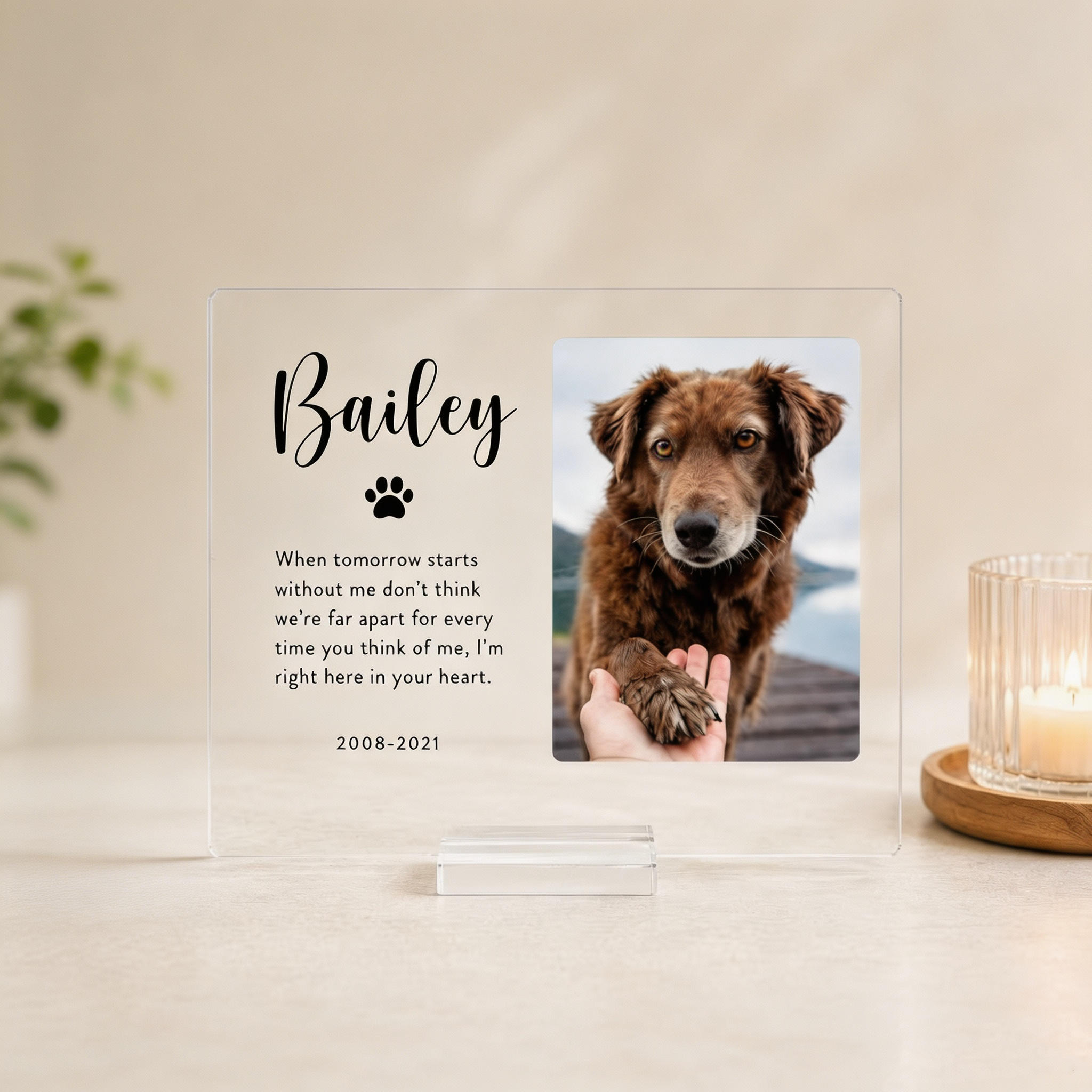Personalized Pet Memorial Plaque – Custom Acrylic Photo Keepsake with Name, Dog & Cat Loss Sympathy Gift