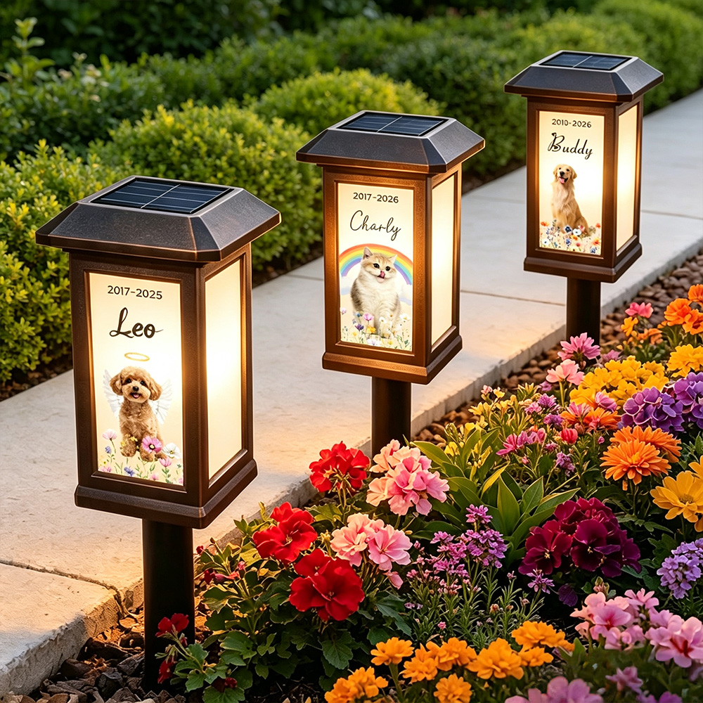 Personalized Pet Memorial Solar Garden Light with Photo, Name & Date, Rainbow Angel Wing Outdoor Garden Decor, Sympathy Gift for Pet Loss