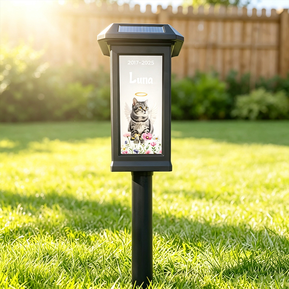 Personalized Pet Memorial Solar Garden Light with Photo, Name & Date, Rainbow Angel Wing Outdoor Garden Decor, Sympathy Gift for Pet Loss