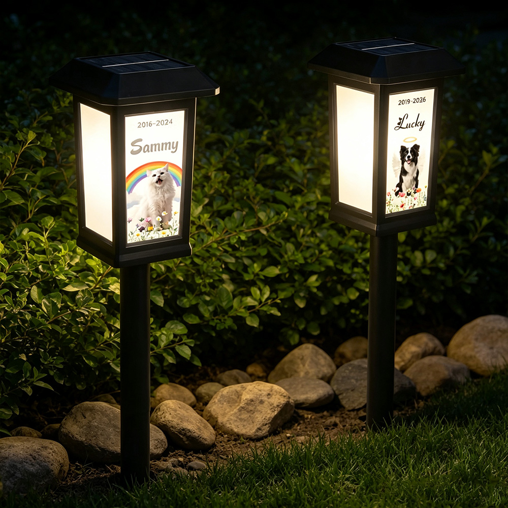 Personalized Pet Memorial Solar Garden Light with Photo, Name & Date, Rainbow Angel Wing Outdoor Garden Decor, Sympathy Gift for Pet Loss