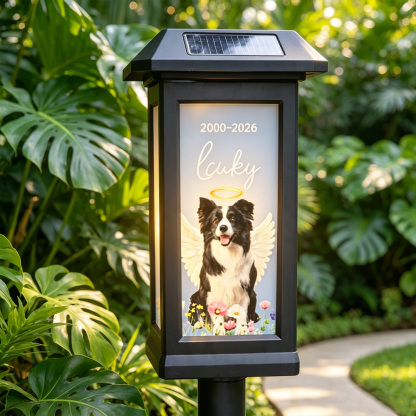 Personalized Pet Memorial Solar Garden Light with Photo, Name & Date, Rainbow Angel Wing Outdoor Garden Decor, Sympathy Gift for Pet Loss