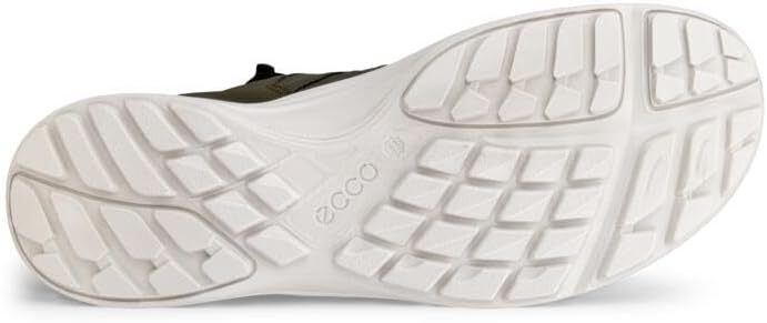 ECCO herr TERRACRUISE LTVandringsskor