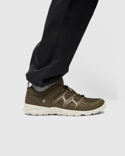 ECCO herr TERRACRUISE LTVandringsskor