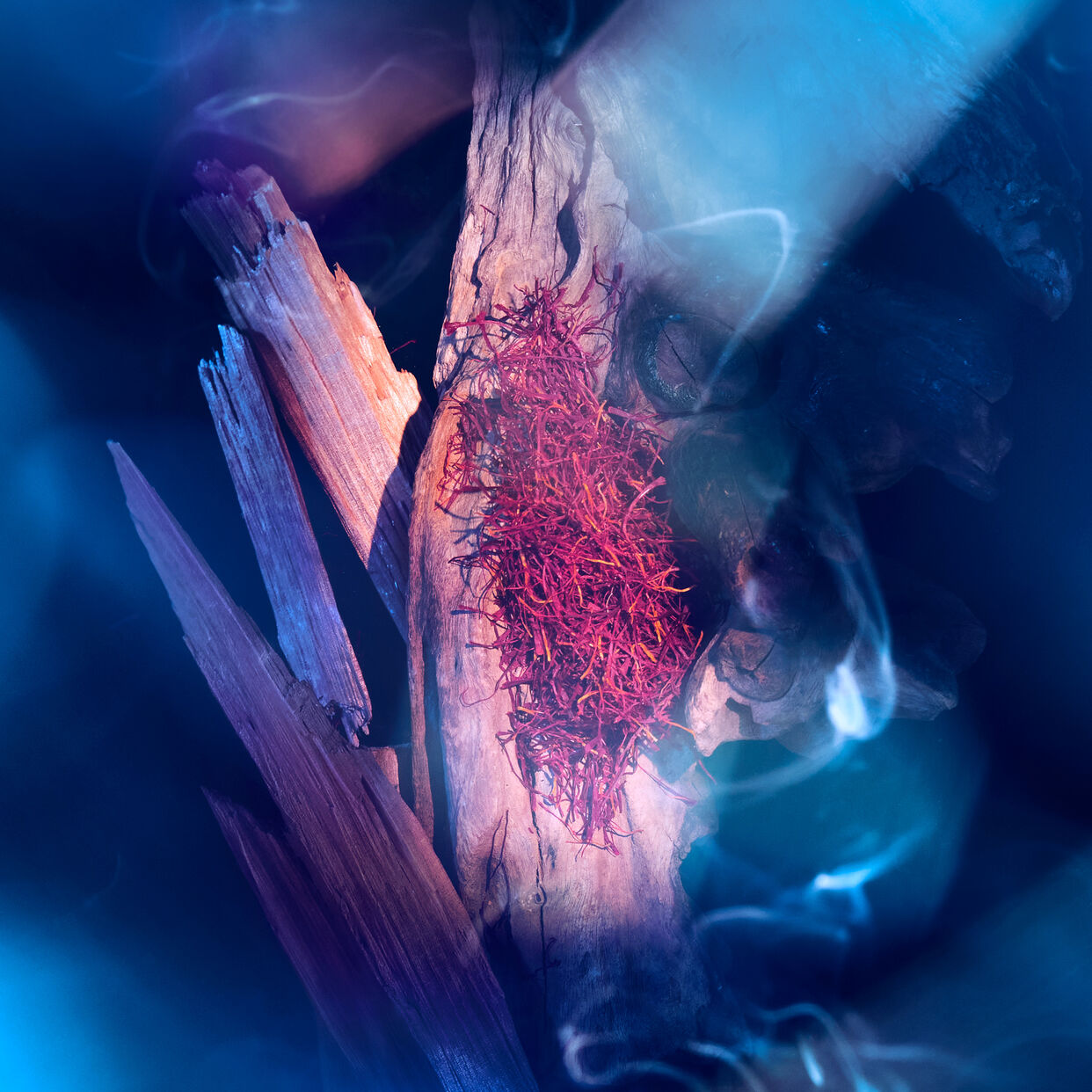 Oudgasm Smoky Oud |07 Eau de Parfum Intense