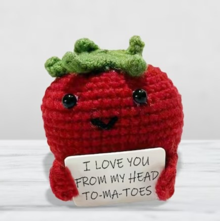 🥒Handmade Emotional Support Gift