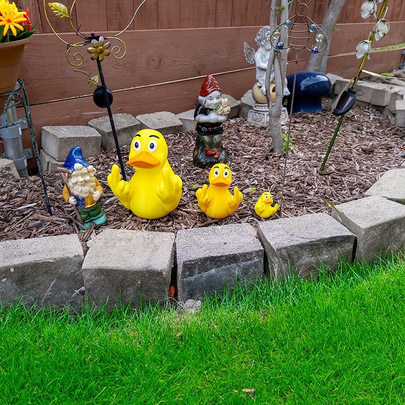 Funny Middle Finger Ducks