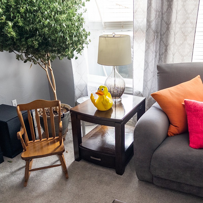 Funny Middle Finger Ducks