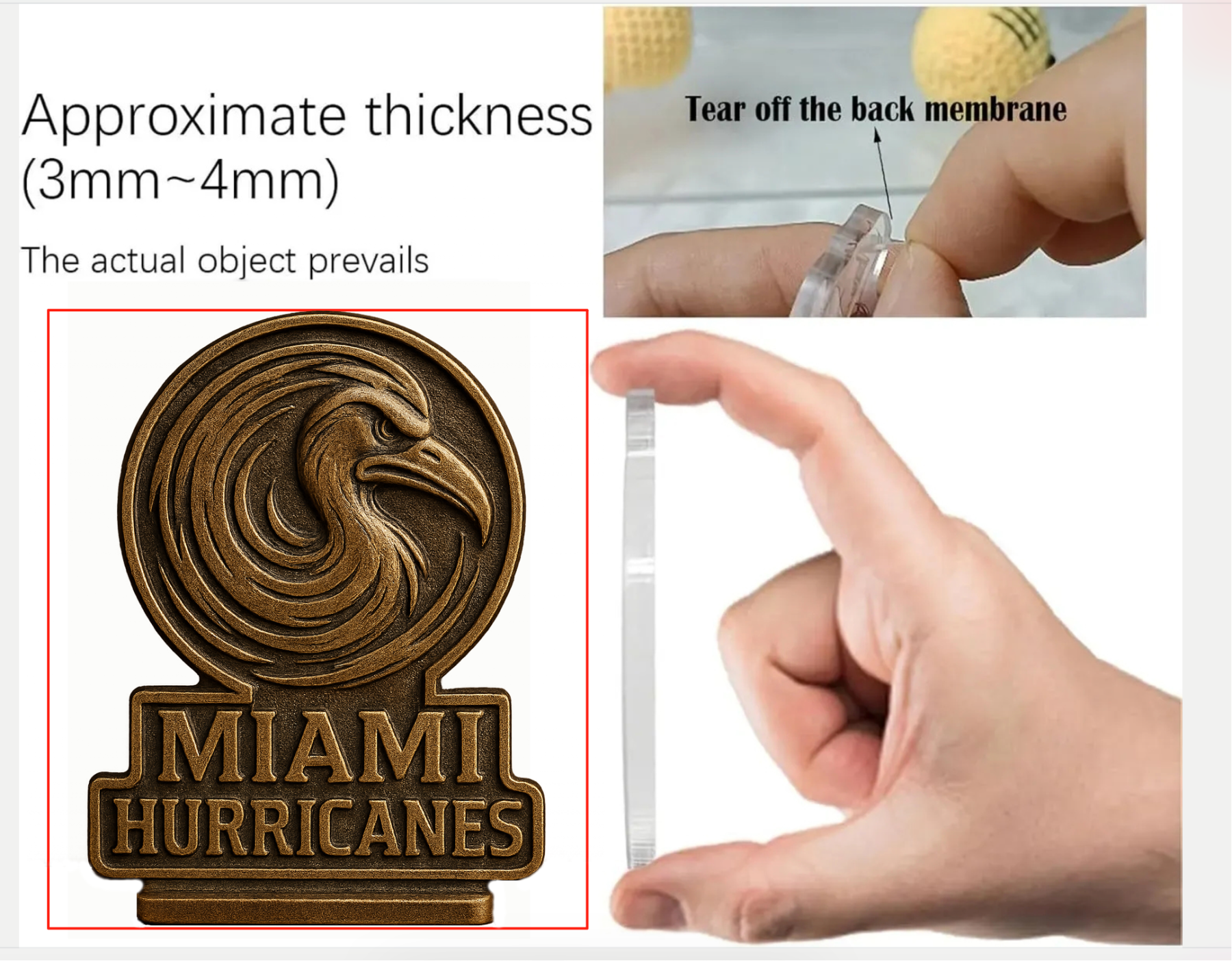 Miami Hurricanes 2025 Championship Edition - Road to Glory