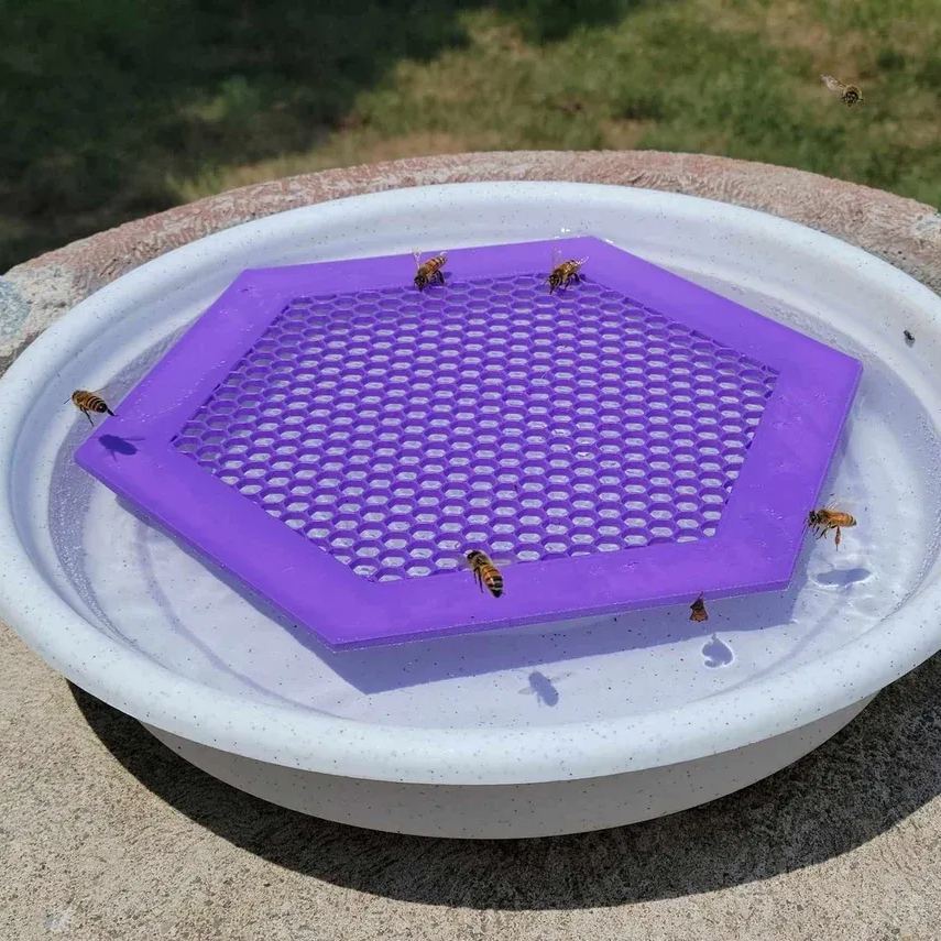 🐝Floating Bee Island