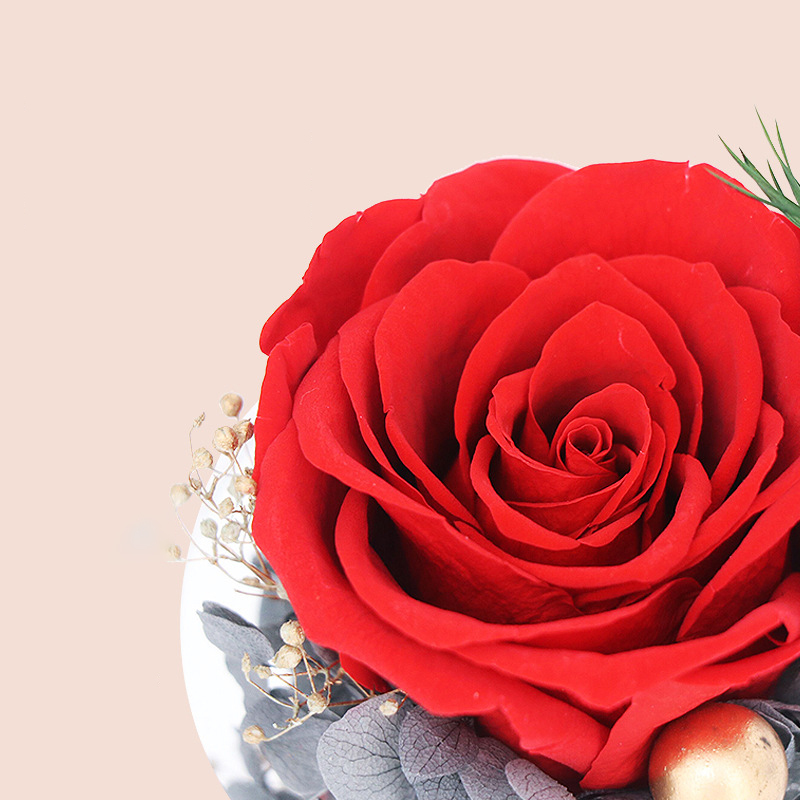 Glowing Little Angel Everlasting Rose Gift