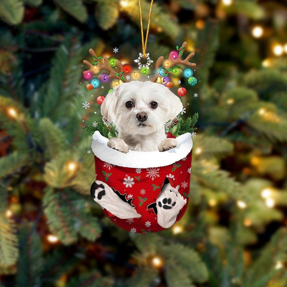 WHITE Maltese In Snow Pocket Ornament