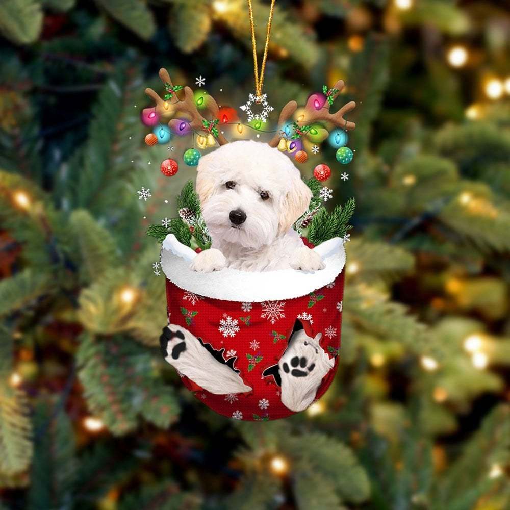 WHITE Maltipoo In Snow Pocket Ornament