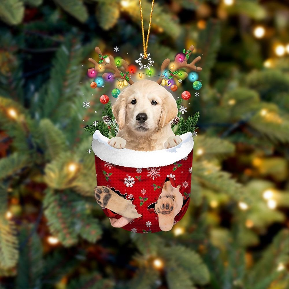 Golden Retriever In Snow Pocket Ornament