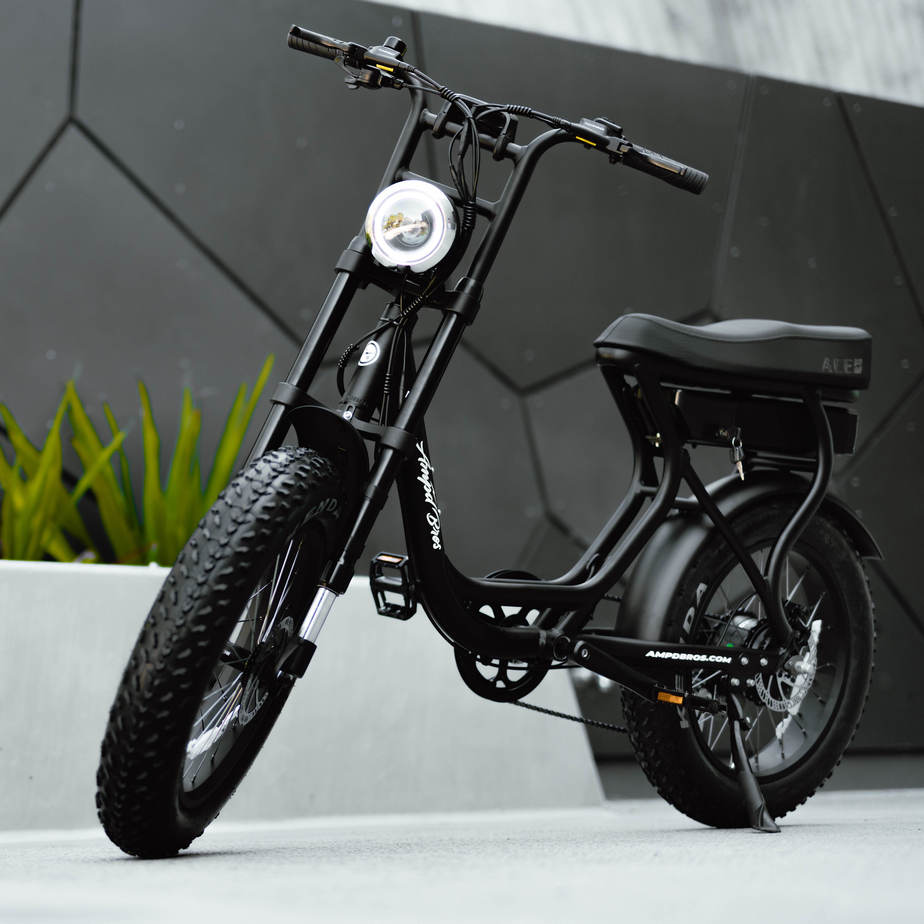  Electric Bike