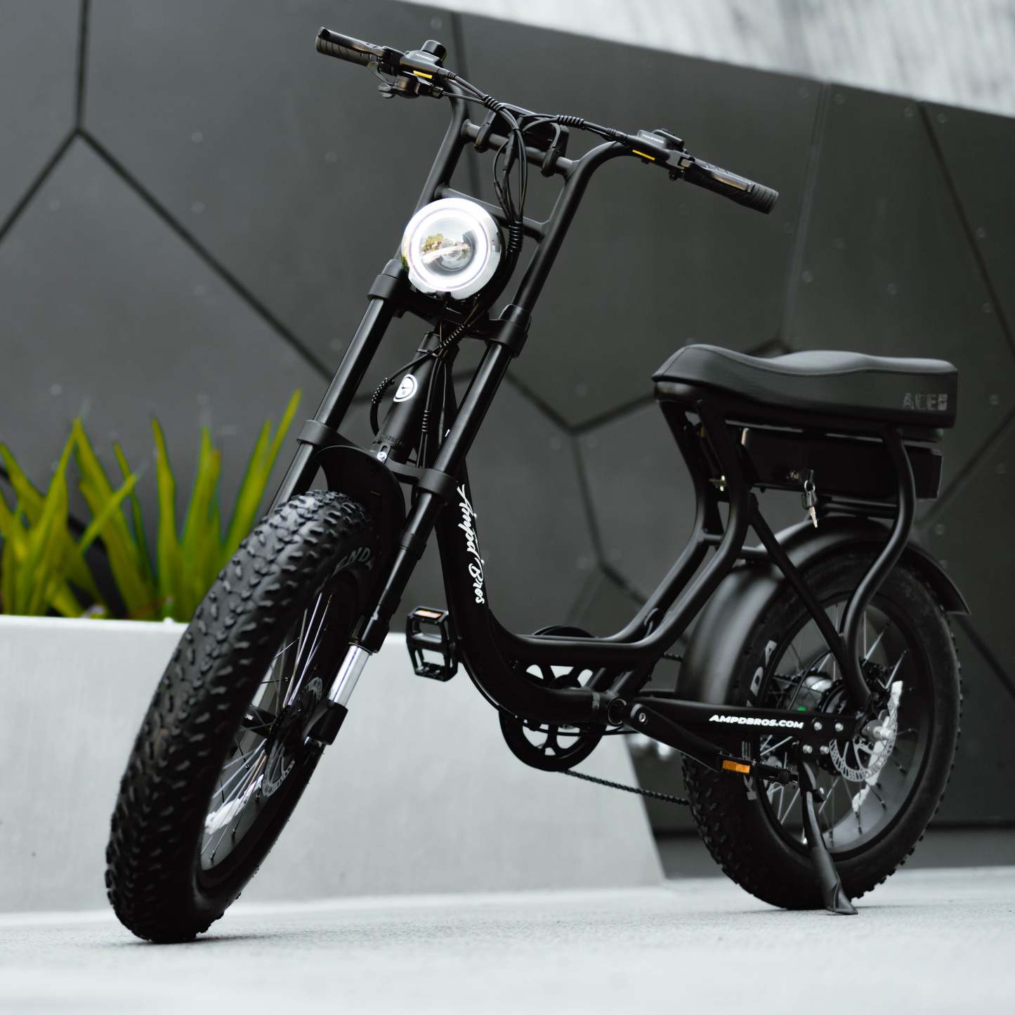  Electric Bike