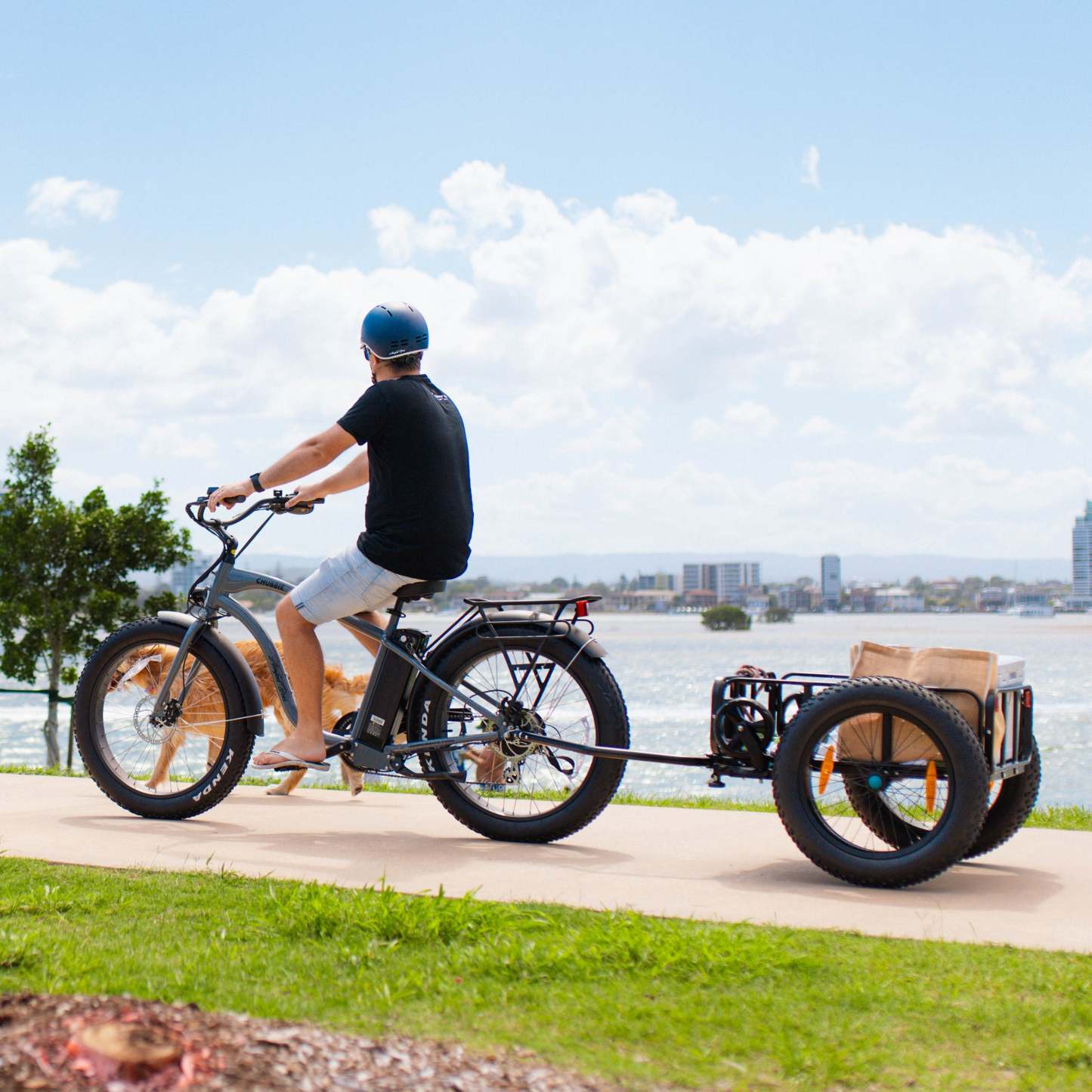 Electric Beach Cruiser Bike