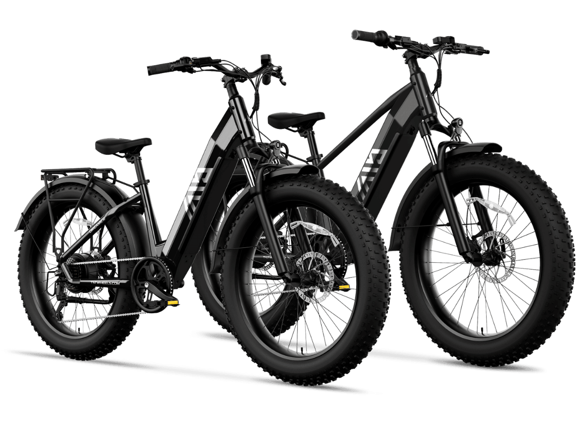 Combo Sale Electric Bike