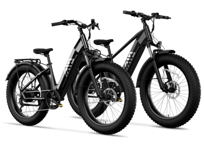 Combo Sale Electric Bike