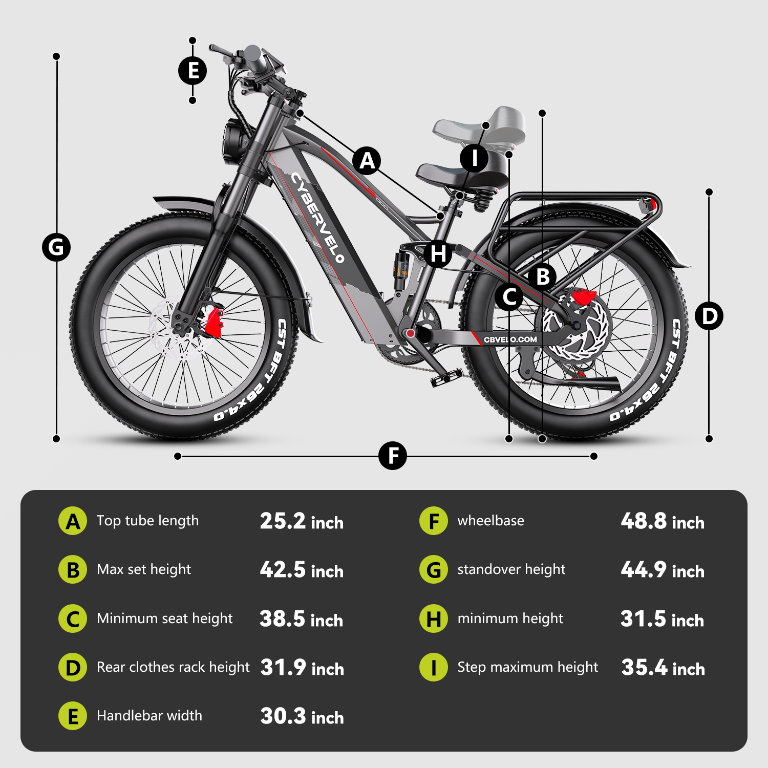 Electric Bike 