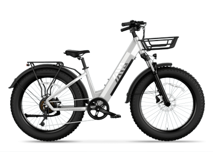 Electric Bike