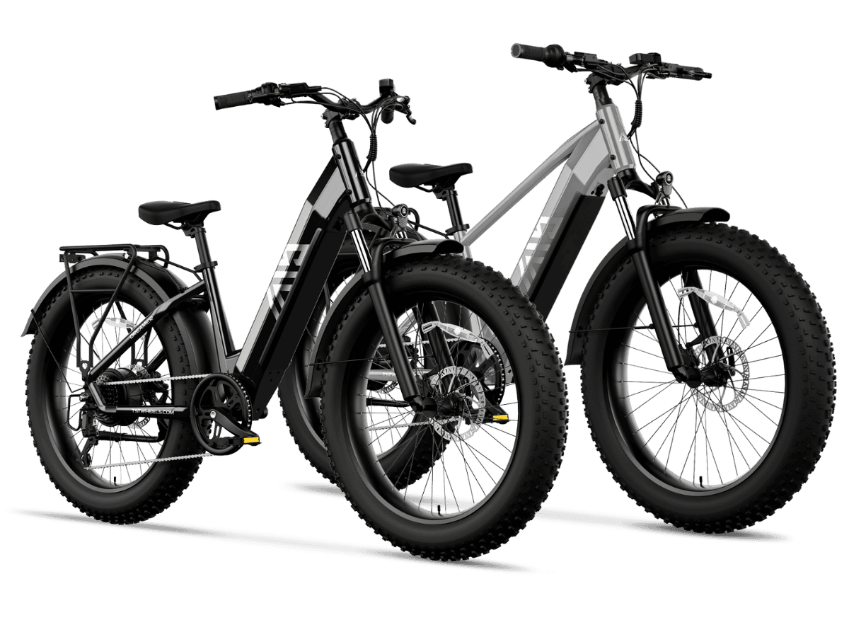 Combo Sale Electric Bike