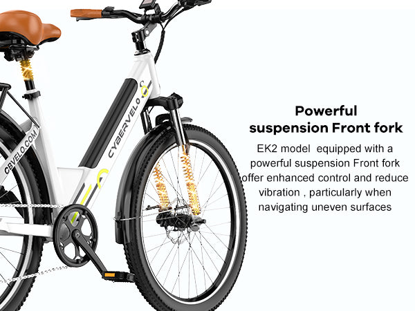Electric Bike 