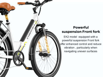 Electric Bike 