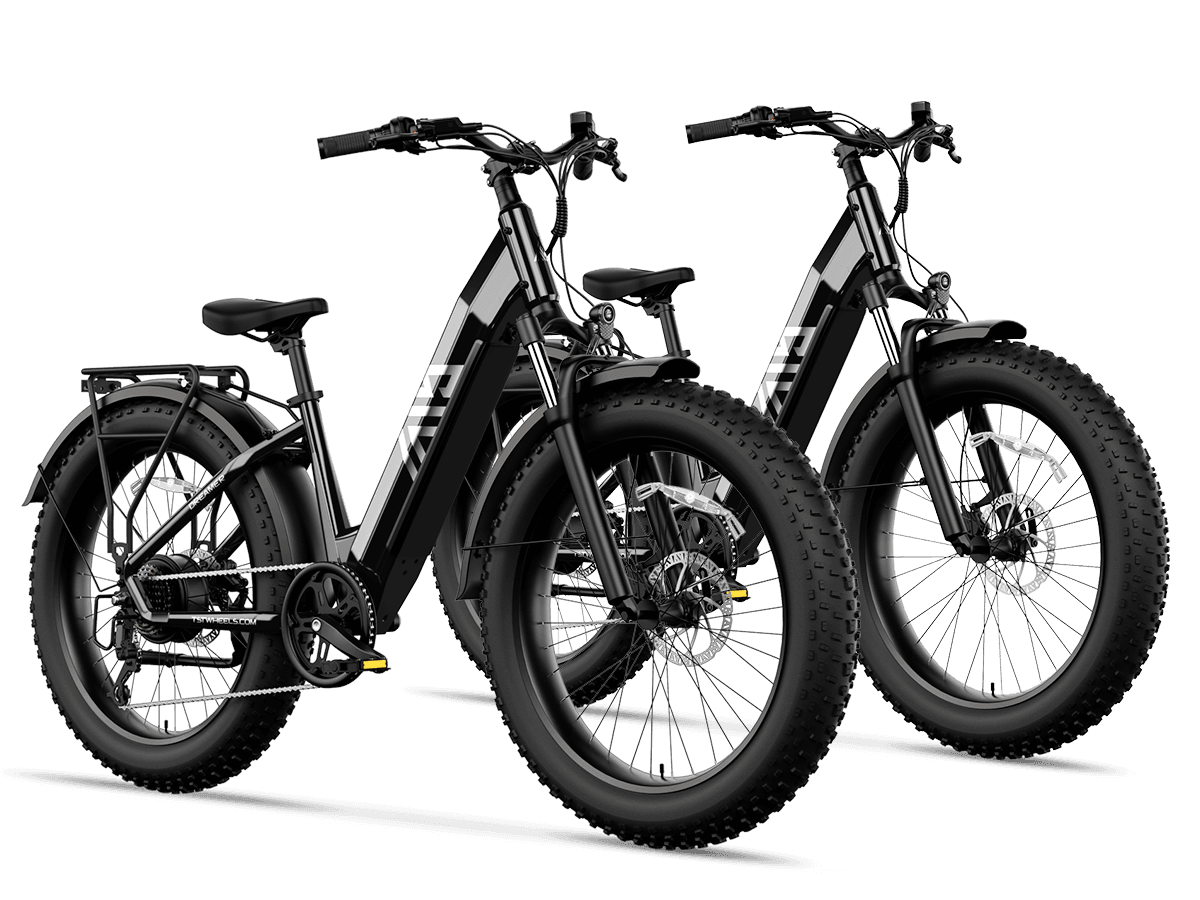 Combo Sale Electric Bike
