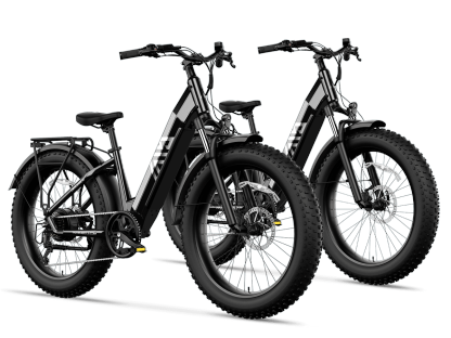 Combo Sale Electric Bike