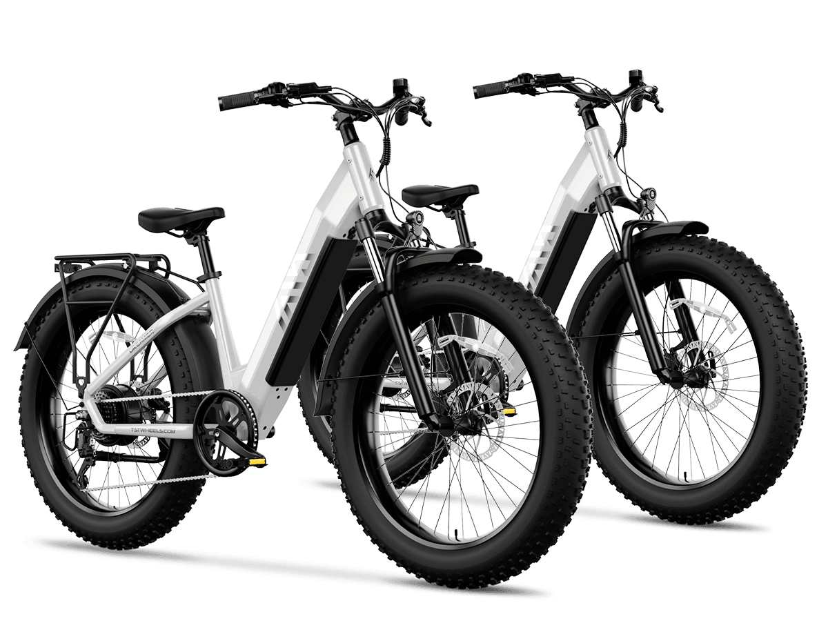 Combo Sale Electric Bike