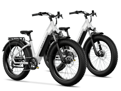 Combo Sale Electric Bike
